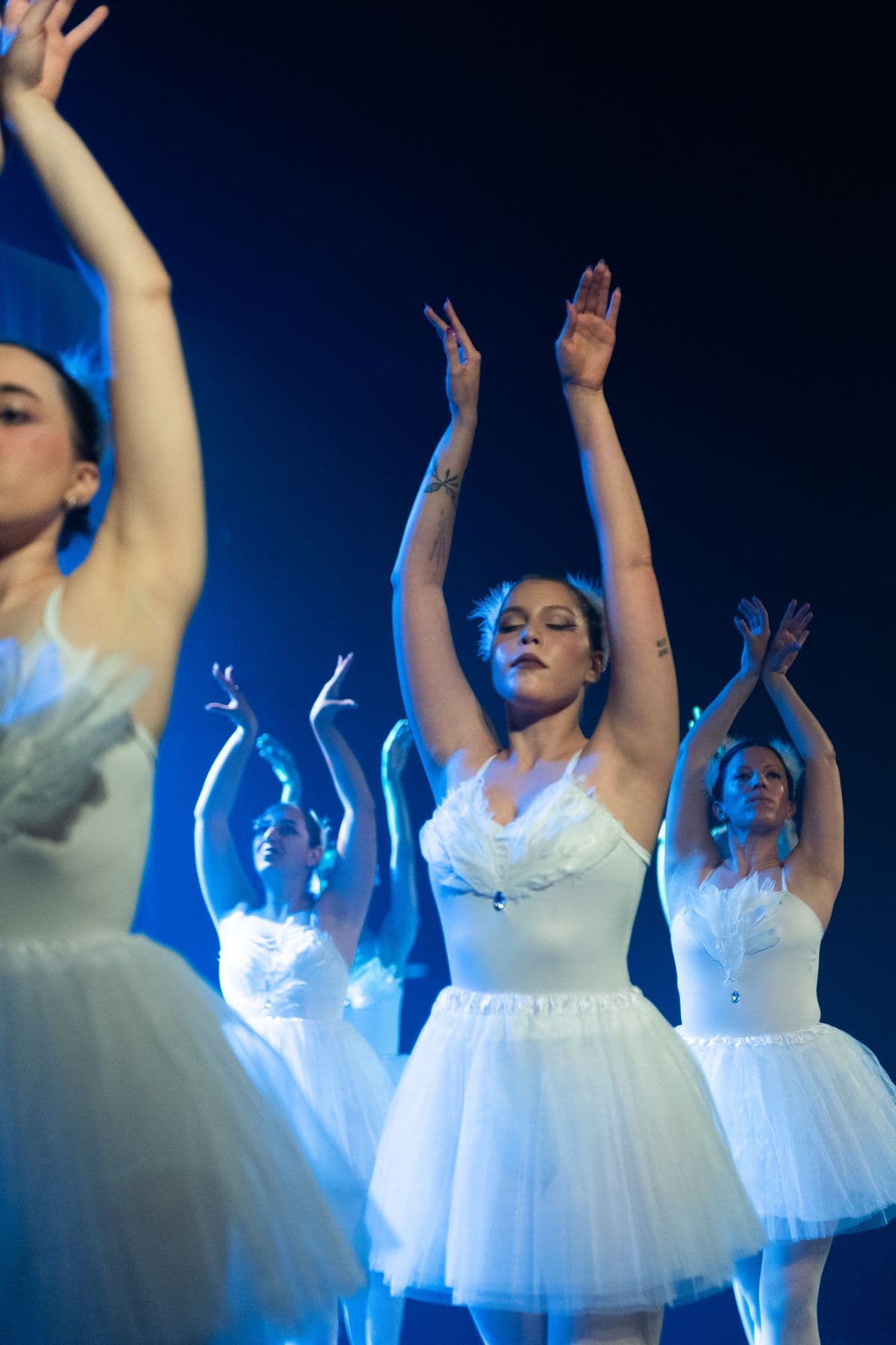 Cisnes con los brazos en alto, luz azul